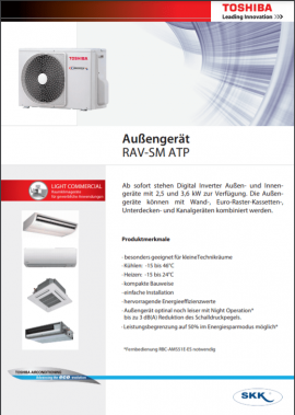 RAV-SM small.pdf